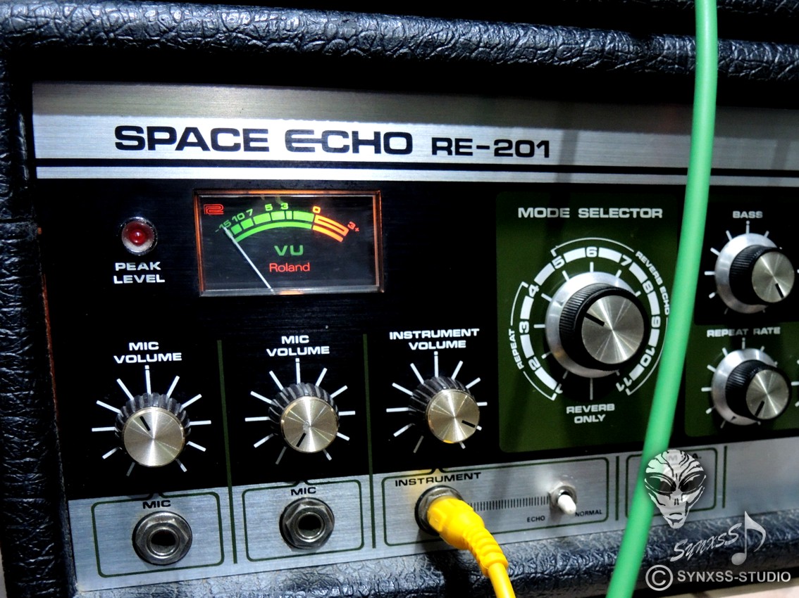 Roland Space-Echo